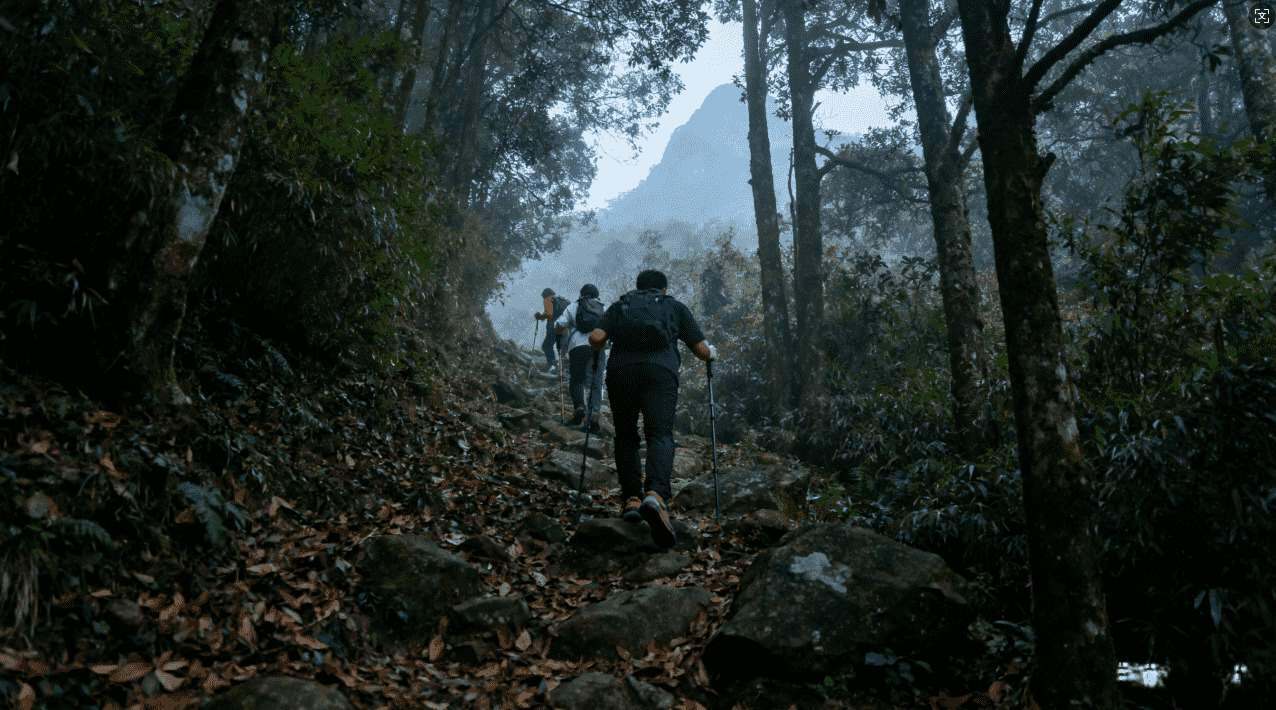 谁有最新的旋风加速器二维码资源推荐